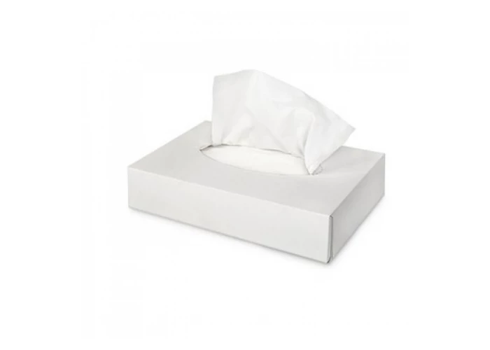 Салфетки бумажные косметологические 20 х 20 см в бумажном диспенсере, 2 слоя, 100 шт