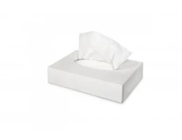 Салфетки бумажные косметологические 20 х 20 см в бумажном диспенсере, 2 слоя, 100 шт